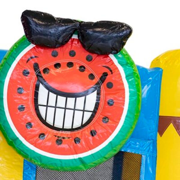 Mini Bounce Flamingo 5